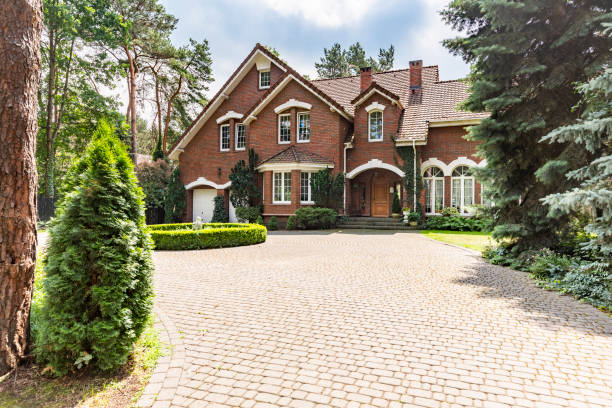 Best Decorative Driveway Pavers  in Colorado City, AZ